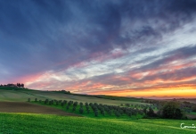 Under The Tuscan Sun