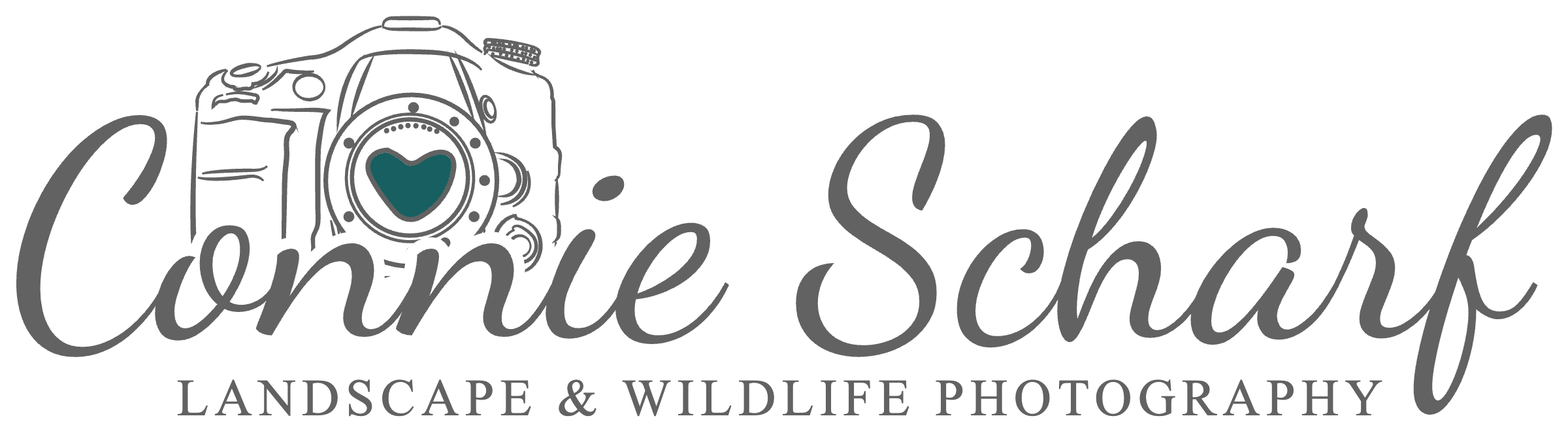 Connie Scharf Photography